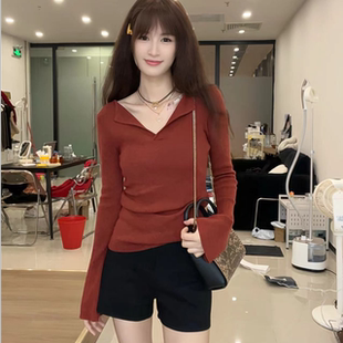 2026秋冬新款显瘦V领修身内搭显白高级百搭花红咖针织毛衣上衣