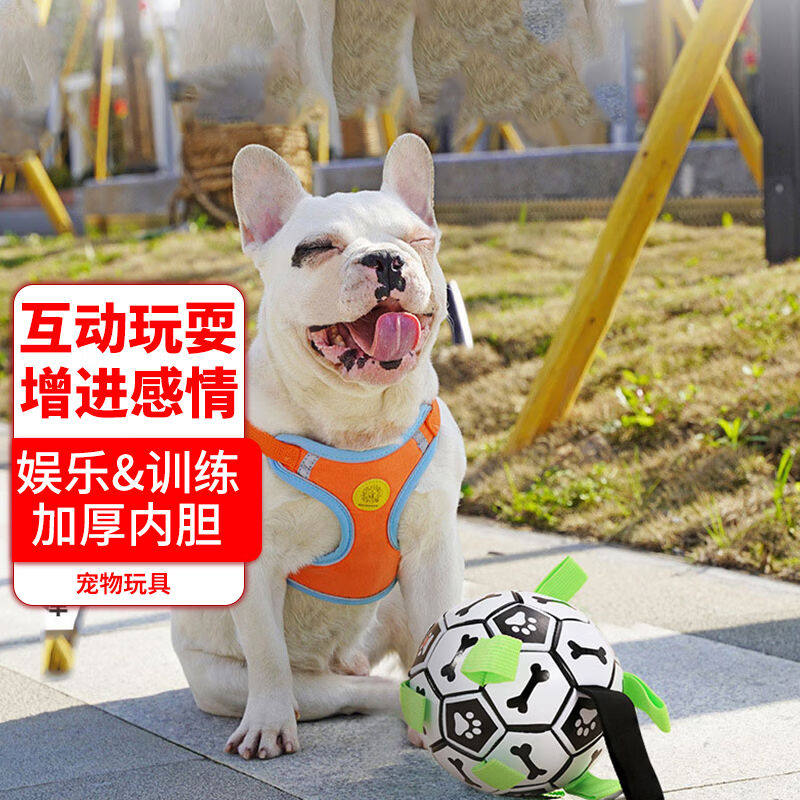 2023萌嘟星宠狗玩具耐咬狗狗玩具宠物玩具网红足球小狗玩具中大型怎么看?