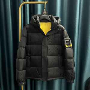 加厚款50%白鸭绒 2025新款男士羽绒服连帽高品质YR777 P285图片