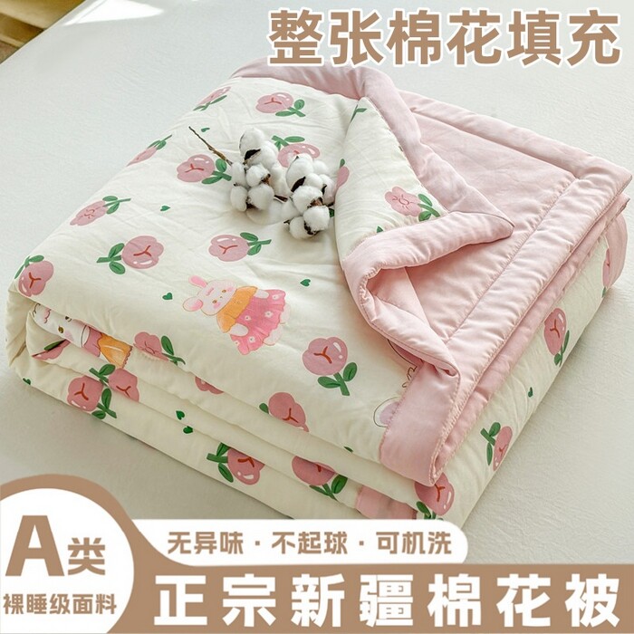 A类新疆纯棉花夏凉被纯棉全棉空调被夏被夏季天薄被子被芯可机洗