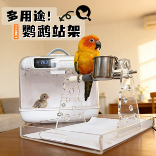 鹦鹉站架亚克力高透明磨爪站台小太阳玄风厕所定点排便拉屎鸟站架