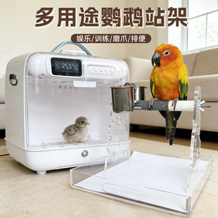 鹦鹉站架亚克力高透明磨爪站台小太阳玄风厕所定点排便拉屎鸟站架