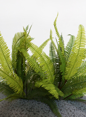 柔软手感高仿生植物满满高级感