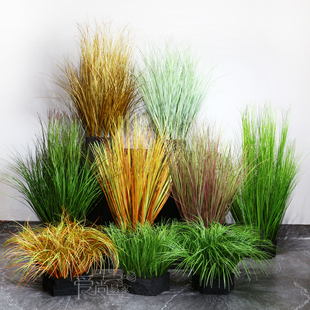 洋葱草蒲苇草芦苇草野草仿真蒲草装饰小草草垛狗尾巴草草团草堆