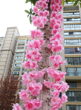 仿真樱花藤条花朵更密颜色自然