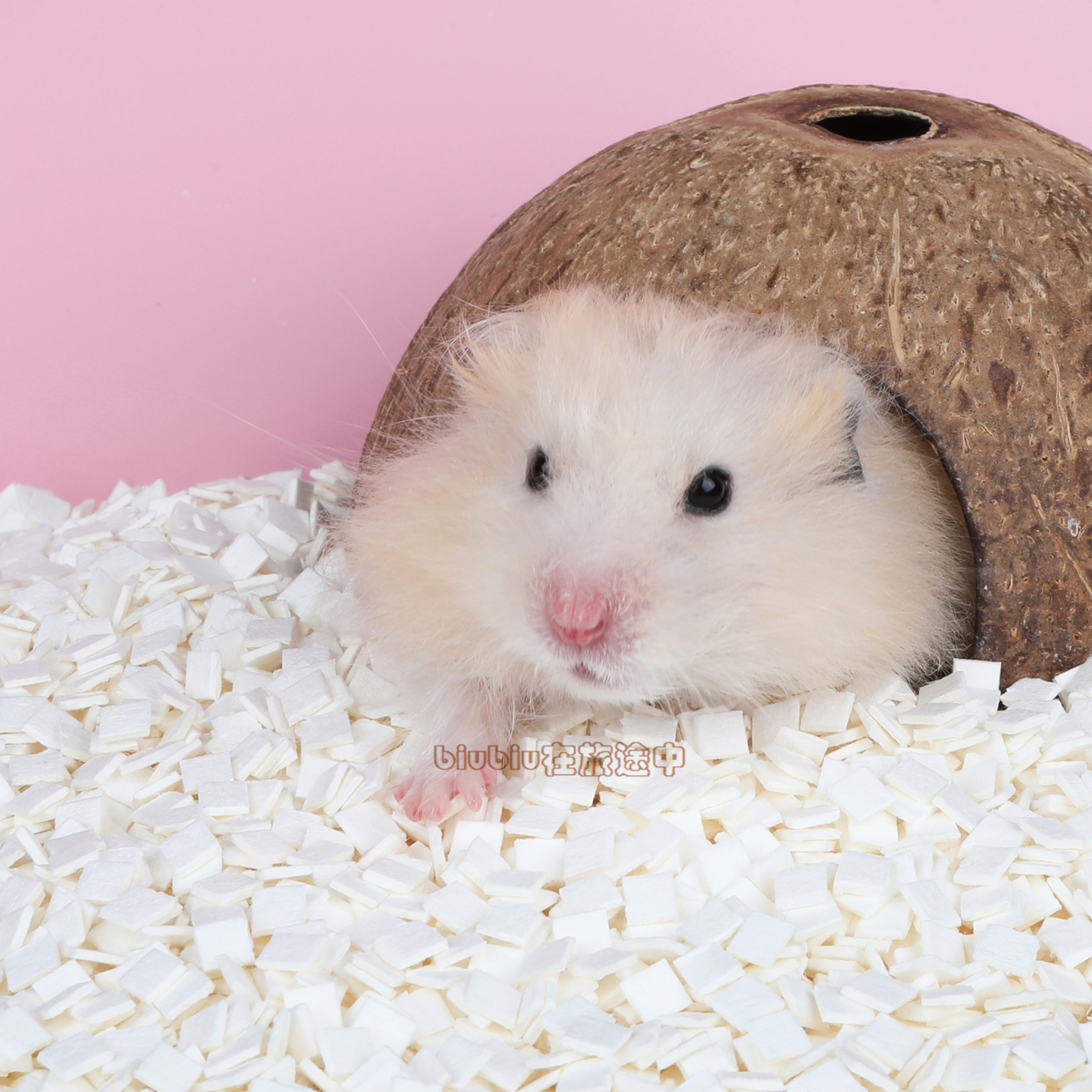 仓鼠豆腐块垫料纸砂纸纤维垫材夏季吸水除臭不粘毛纸片原浆金丝熊