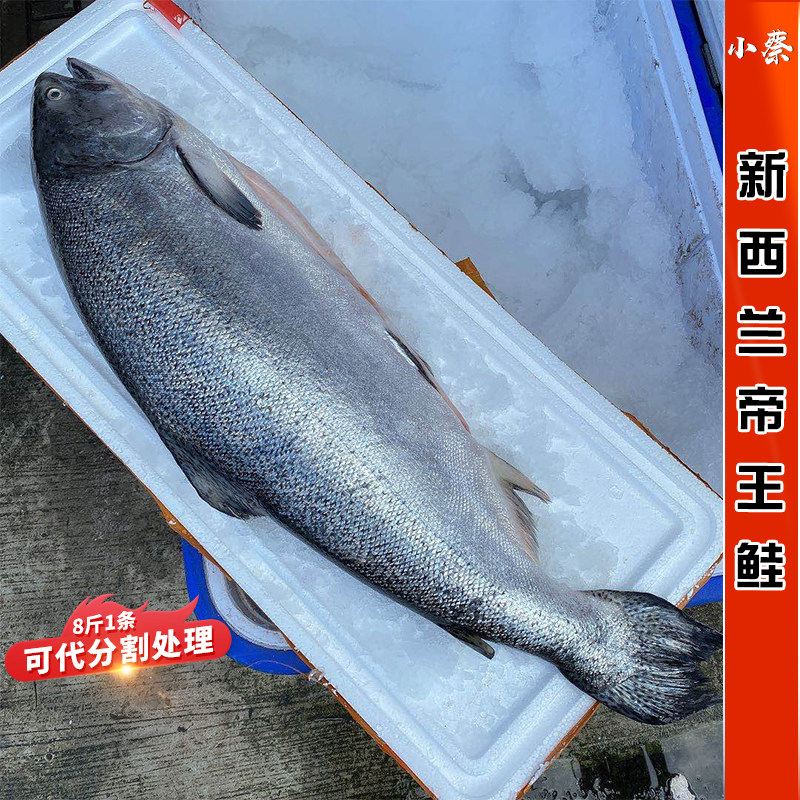 新西兰帝王鲑海鲜水产进口整条冰鲜三文鱼新鲜刺身宝宝辅食1条8斤图片