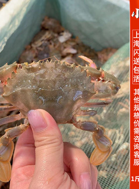 鲜活石蟹海鲜水产野生新鲜石头蟹石闸蟹花盖蟹超大海蟹 1斤6-10只