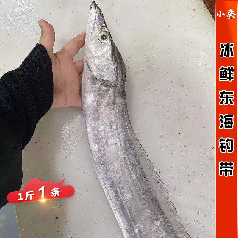 冰鲜东海钓带海鲜水产野生小眼睛带鱼