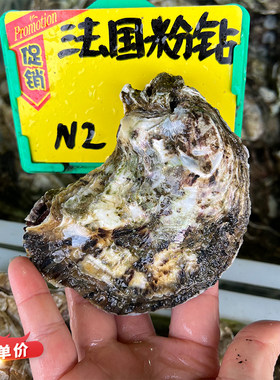 【法国玫瑰粉钻生蚝】海鲜即食刺身鲜活牡蛎非吉拉多大生蚝1只价