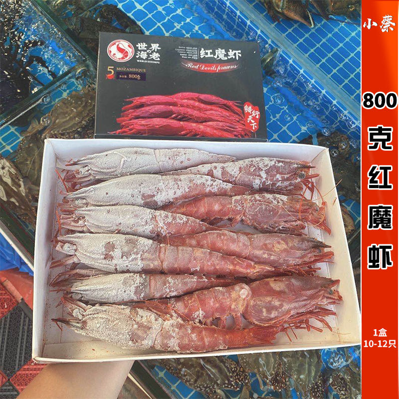 西班牙红魔虾海鲜水产大虾绯红虾刺身胭脂虾牡丹虾 1.6斤10-12只图片