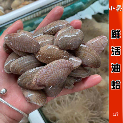 鲜活油蛤海鲜水产贝类文蛤花蛤花甲蛤蜊芒果螺黄蚬海螺西施舌1斤