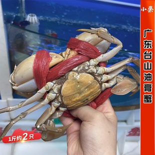 鲜活广东台山油膏蟹海鲜水产红膏蟹红鲟母蟹青蟹1斤约2只