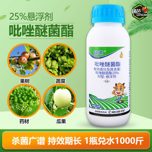 耕芭 白粉病炭疽病霜霉病 25%吡唑醚菌酯悬浮剂杀菌剂