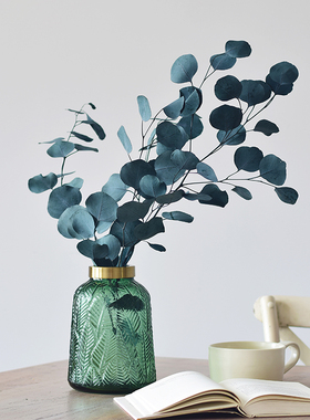 进口圆叶尤加利叶干花花束真树叶子北欧家居装饰客厅苹果桉永生花