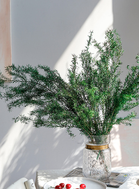 北欧永生花千层金干花红色系室内插花真花橱窗布置软装家居装饰花