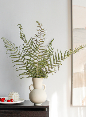 天然风干植物大蕨叶干花花束客厅室内装饰插花配草绿色真花干燥花