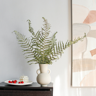 天然风干植物大蕨叶干花花束客厅室内装 饰插花配草绿色真花干燥花