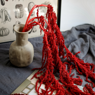 永生花吊米红色情人泪干花柔丽丝悬挂装 饰婚庆场景布置插花配花材