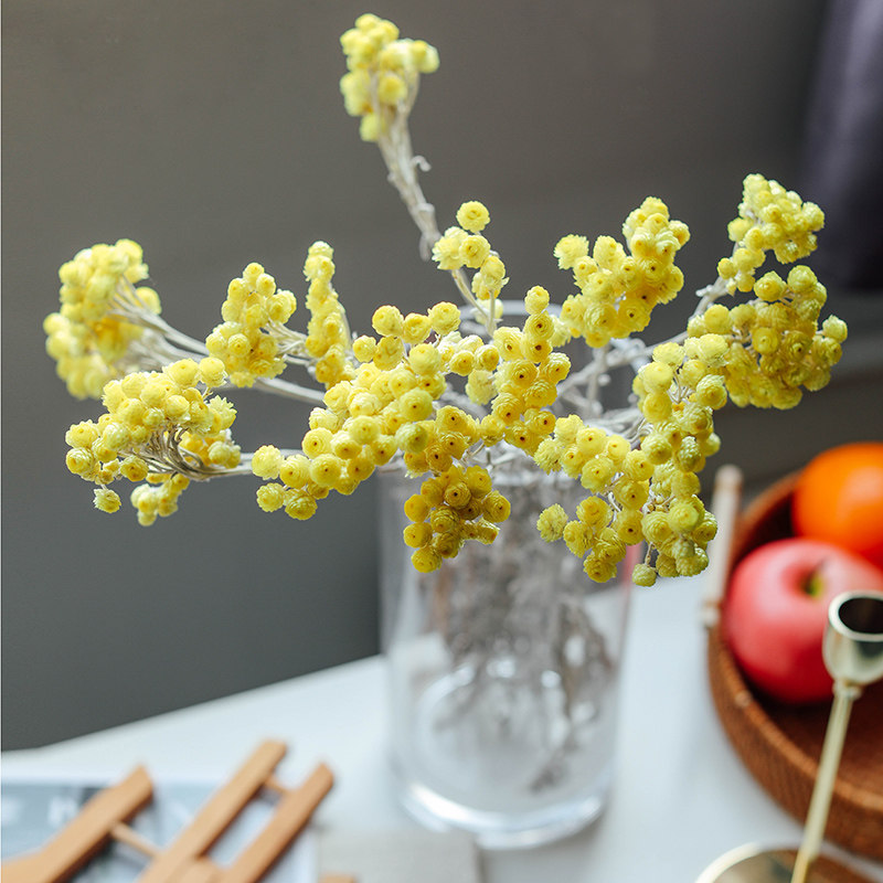 进口干花真花高端日本帝王菊ins风日系小众手工diy黄蜡菊拍照道具