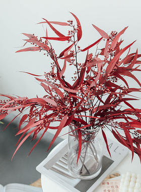 天然小米果叶细叶尤加利叶干花花束绿色叶子装饰摆件桉树叶永生花