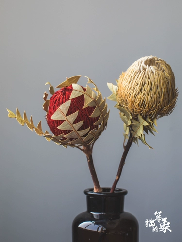 Импортированный банкир Muqianhua High -Австралийский австралийский Berkes Natural Dry Flower Living Room
