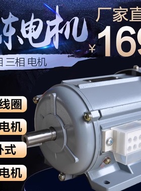 上海德东电机YSB120W铝壳铜线小功率电动机微型马达单相三相