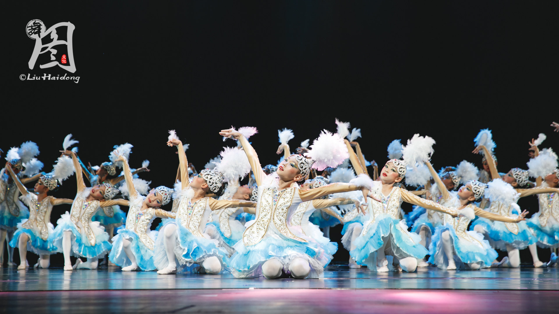 2018第九届小荷风采向天歌舞蹈表演服儿童少儿蓬蓬纱裙演出服装