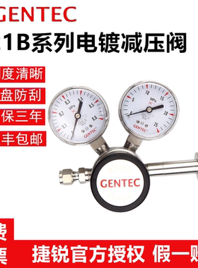 美国捷锐电镀R21BGK R21BMK R21BNK气体减压器，电镀R11S3减压阀