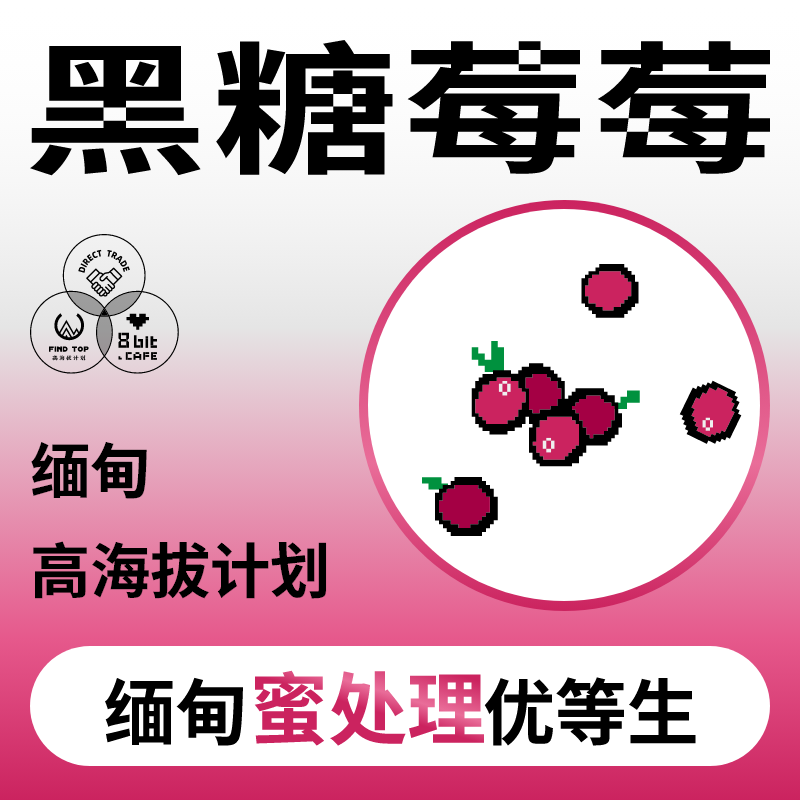 捌比特缅甸高海拔黑糖莓莓咖啡豆