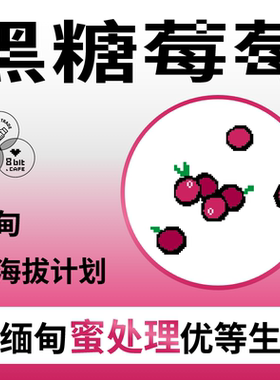 捌比特缅甸高海拔 黑糖莓莓中烘 红蜜处理 精品手冲咖啡豆250g