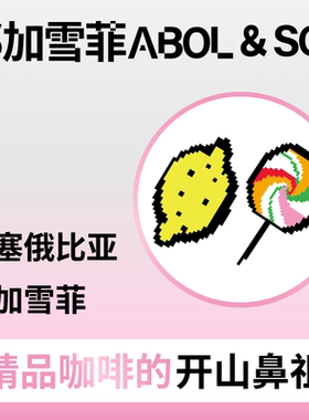 耶加雪菲 埃塞俄比亚水洗沃卡SOE意式咖啡粉 阿宝精品手冲咖啡豆