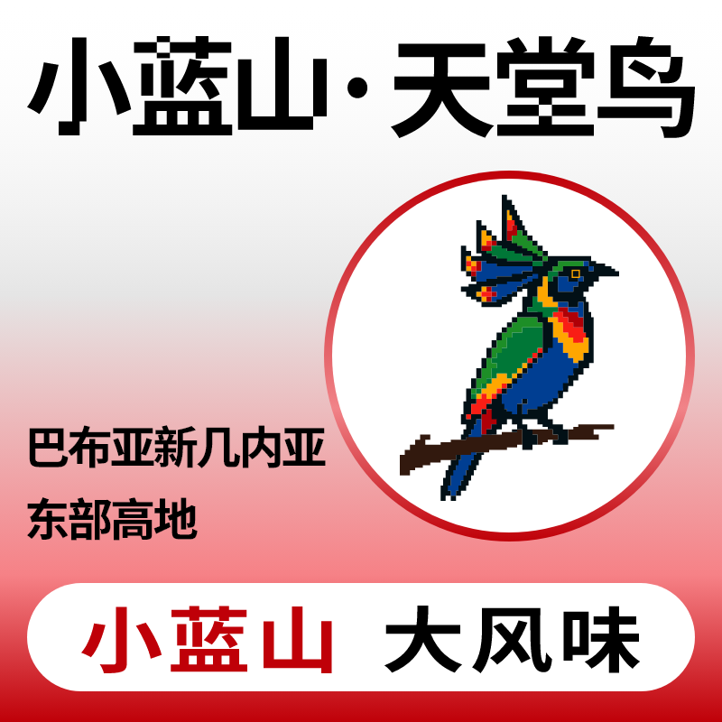捌比特 巴布亚天堂鸟PNG 小蓝山水洗中度烘焙手冲精品咖啡豆250g