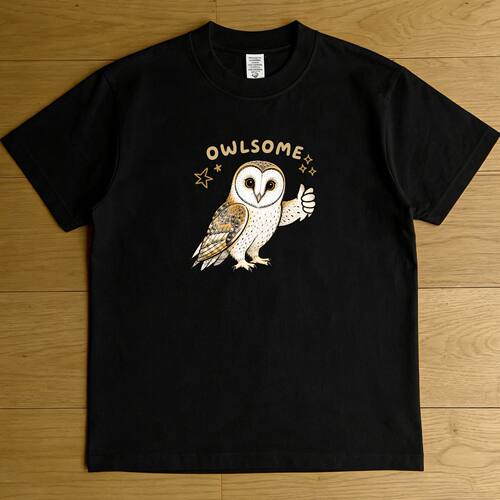 OWLSOME猫头鹰 仓鸮meme图鉴趣味短袖设计感T恤纯棉鸟类观赏观鸟