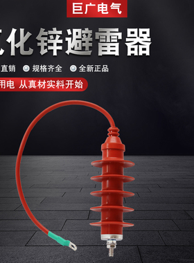 10KV复合外套氧化锌避雷器HY5WS-17/50Q带电缆硅橡胶线路型防雷器