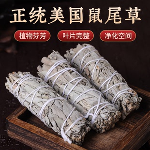 美国加州进口白鼠尾草蓝草鸡腿草天然香薰净化空气舒缓放松精神