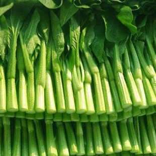 菜苔 菜台上海直发 油菜苔菜心 蒜香 24小时发货 白灼 菜心