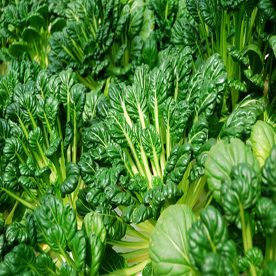 新鲜乌塌菜 黑菜 塔菜 塔菇菜 塌苦菜 塌棵菜 太古菜 现摘现发