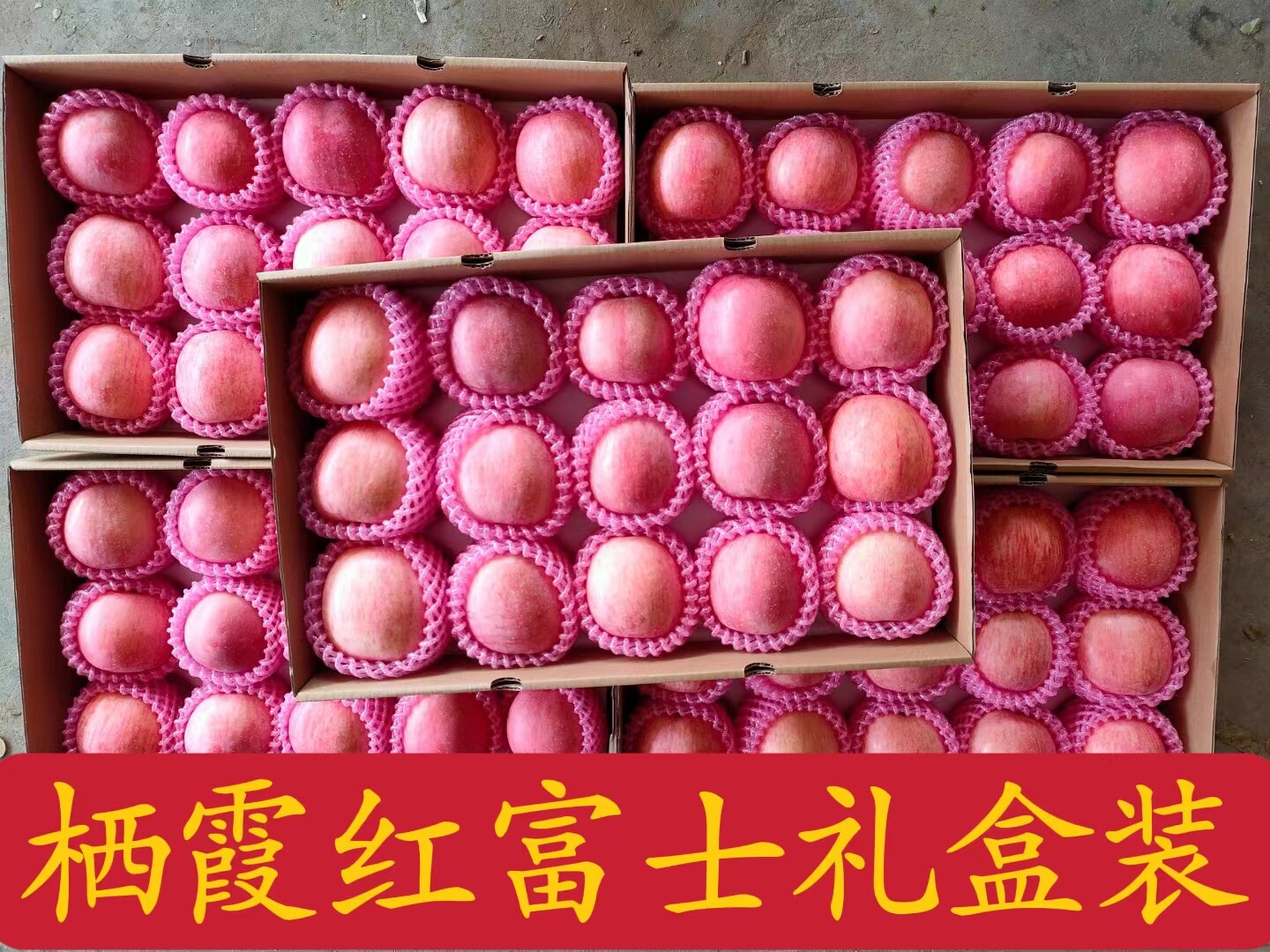 送礼佳品正宗烟台苹果栖霞红富士精品大果当季新鲜水果高端礼盒