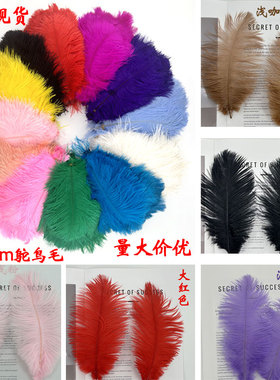 彩色鸵鸟毛ins20-25cm婚庆摆件网红墙装饰手捧花diy摆件装饰