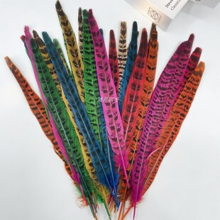 DIY天然野山鸡毛 野鸡羽毛野鸡翎野鸡尾京戏翎子山鸡尾30-35厘米