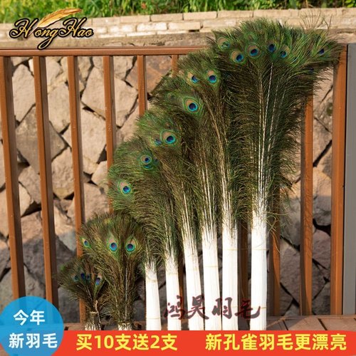 孔雀羽毛diy装饰插瓶摆件羽毛