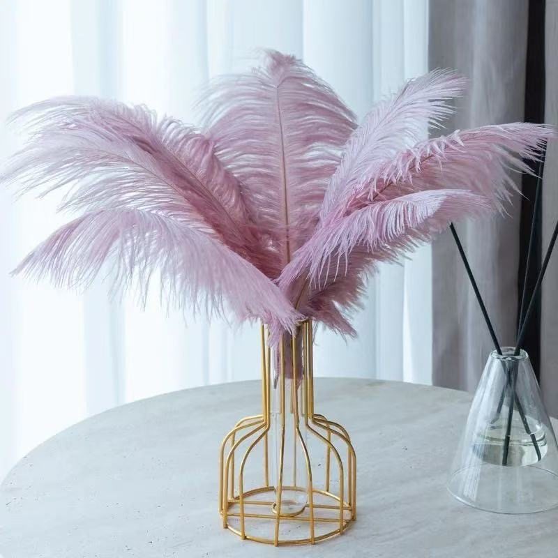 DIY饰品进口鸵鸟羽毛多色婚庆羽毛路引宴席桌花饰品演出道具羽毛,饰品/流行首饰/时尚饰品新,其他DIY饰品配件,淘宝优惠券,粉丝福利购,淘宝优惠卷