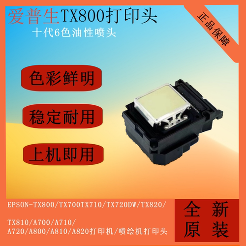原装爱普生tx800喷头写真机