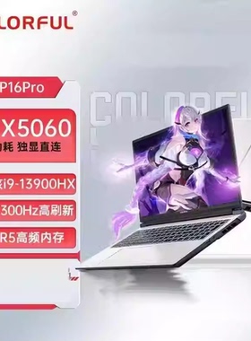 七彩虹隐星P16Pro RTX5060/i9-13900HX 16英寸游戏本笔记本电脑