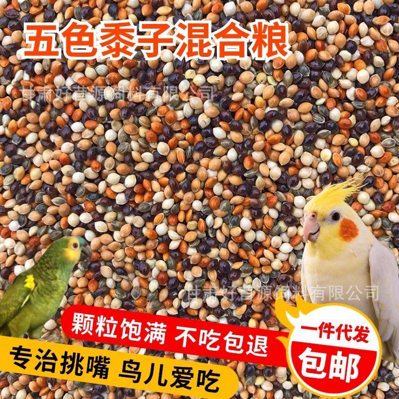 鹦鹉五色黍子虎皮牡丹玄凤中小型鸟粮鹦鹉鸟食饲料谷子带壳混合粮