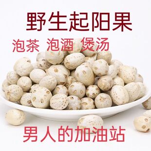 【野生起阳果】回春草阳劲果云南野生起阳果泡酒泡茶回春草虎鞭果