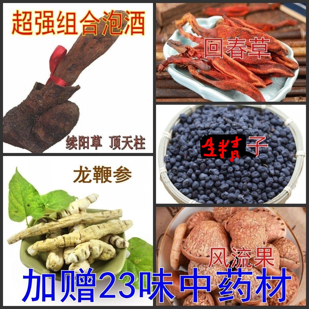 【续阳草泡酒料】西藏野生续阳草顶天柱龙鞭参回春草中药材药酒-封面