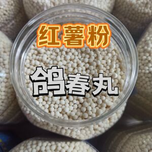 包邮汕尾海丰特产手工番薯粉西米露鸽春丸正宗鸽古春凉丸瓶装500g