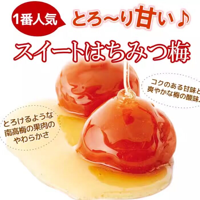 日本 梅翁园和歌山纪州南高梅 蜂蜜渍梅干 调味饭团茶泡饭 5%盐度